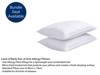 Sealy Fleetwith King Size Mattress2