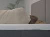 Emma Original Foam Mattress8