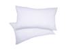 Land Of Beds Microfibre Pillow1