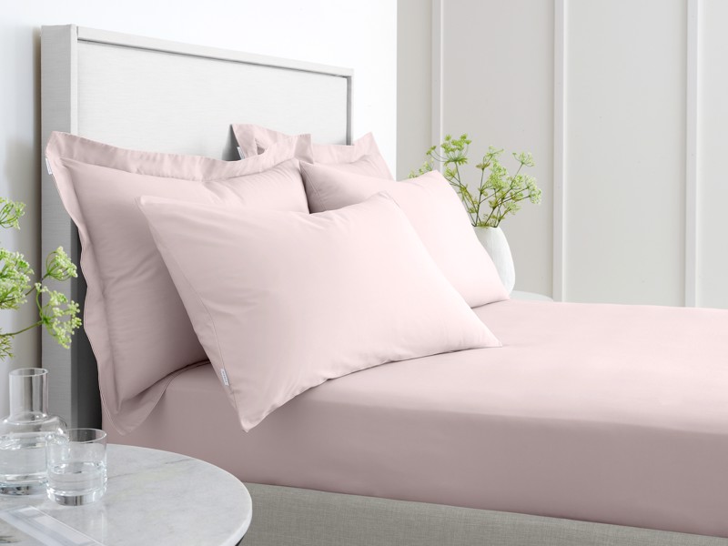 Bianca Fine Linens Cotton Blush Fitted Bed Sheet2