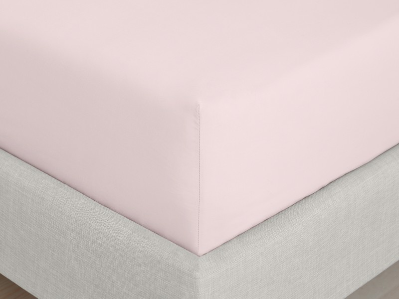 Bianca Fine Linens Cotton Blush Fitted Sheet4