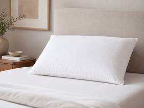 Hypnos Feather & Down Pillow3