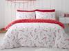 Catherine Lansfield Christmas Candy Cane Single Duvet Cover Set2