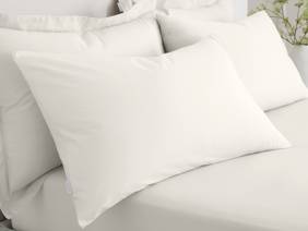 Bianca Fine Linens Cotton Cream Pillowcases5