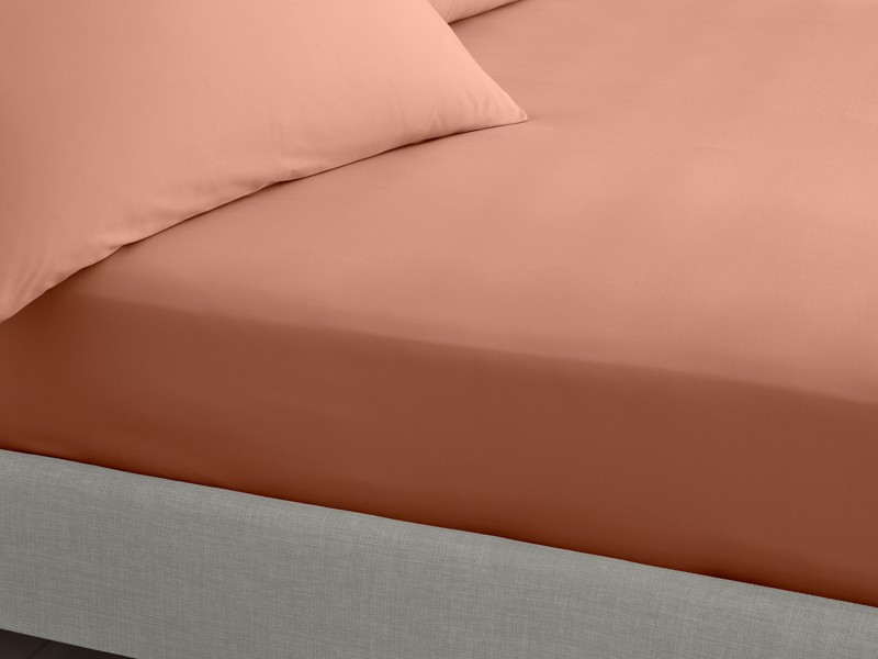 Bianca Fine Linens Cotton Clay Fitted Bed Sheet3