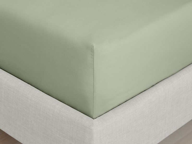 Bianca Fine Linens Cotton Sage Fitted Sheet4