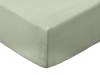 Bianca Fine Linens Cotton Sage Fitted Bed Sheet1