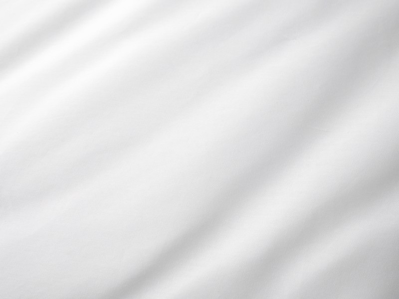 Bianca Fine Linens Egyptian Cotton White Pillowcases6