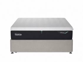 Tempur Buckingham Bed Base2