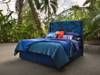 Hypnos Eden Project Rainforest Small Double Divan Bed8