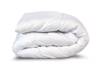 Sleepeezee CLEARANC STOCK - Anti Allergy 10.5 Tog Duvet1