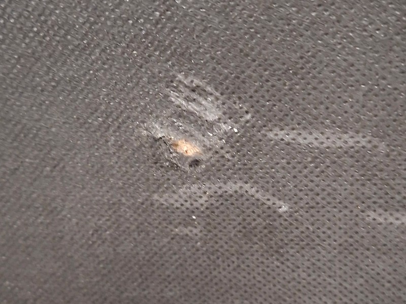 Sleepeezee King Size - CLEARANCE - Ex-Showroom - Plush Beige Orchid Headboard6