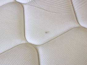 Sealy Double Size - CLEARANCE - Ex-Showroom - Blackwood Mattress3