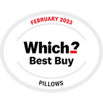 which-pillows-february-2023