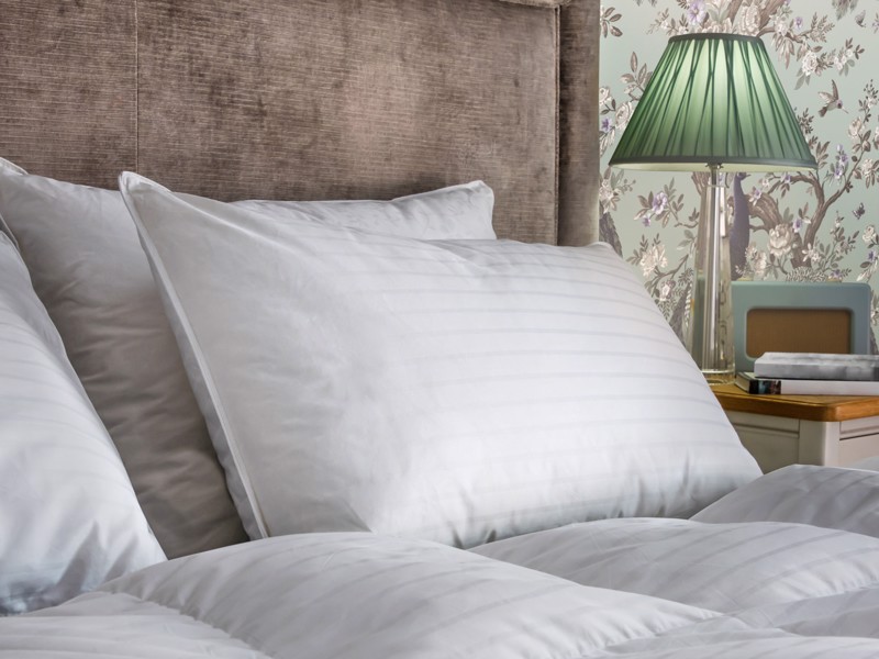 Laura Ashley Premium Duck Feather and Down Pillow