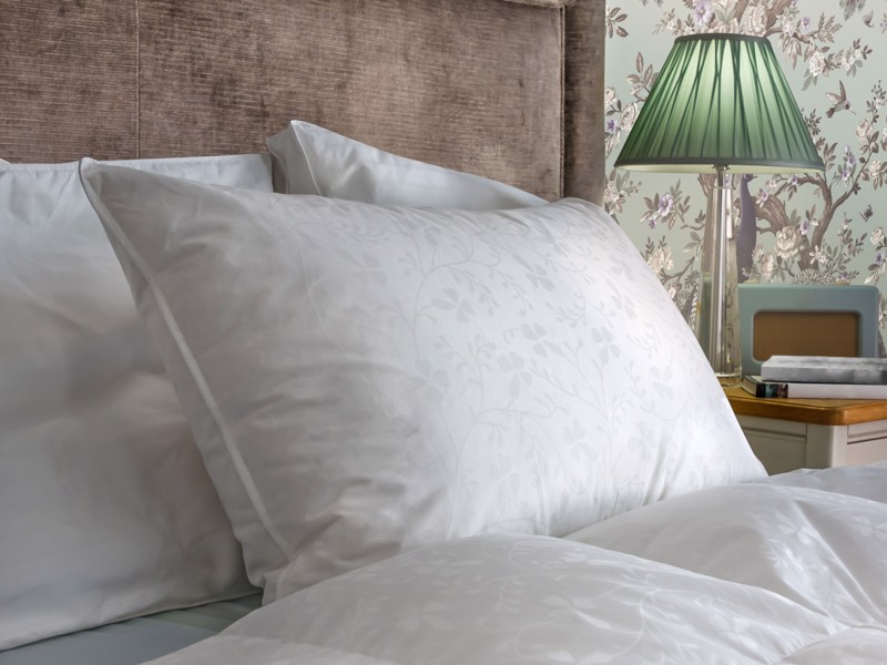 Laura Ashley Superior Goose Feather and Down Pillow