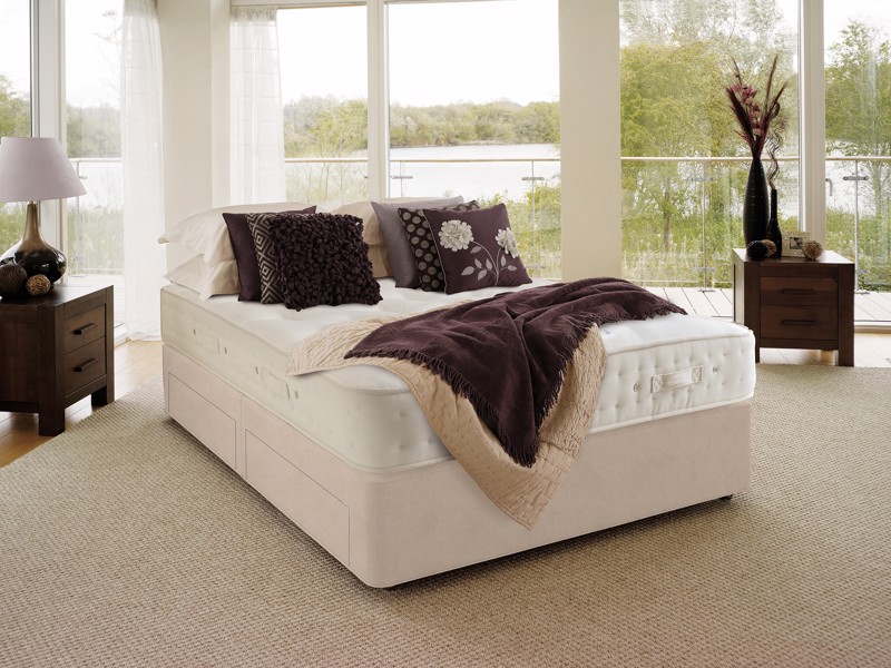 Hypnos Double Size - CLEARANCE - Ex-Showroom - Imperio Stone Ortho Revive Divan Bed